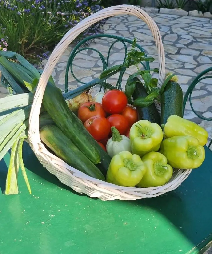 Senkini Dvori Apartamento Sutomiscica Croácia